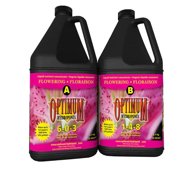 Optimum Bloom A&B