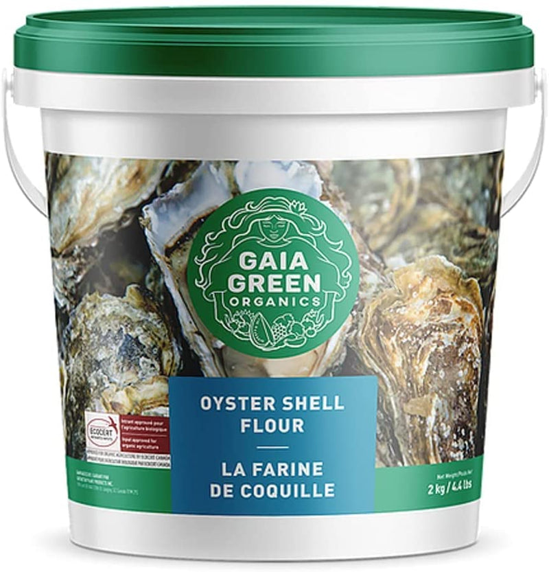 Gaia Green Oyster Shell Flour