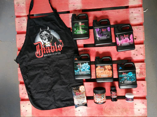 Diablo Starter Kits