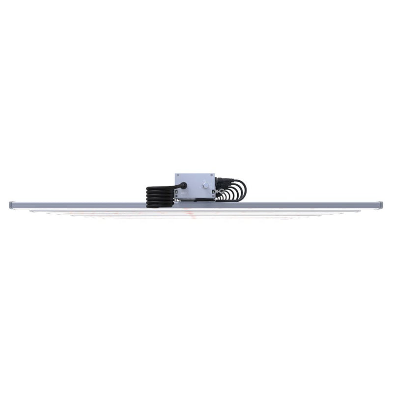 Lightspeed Led 600W Pro