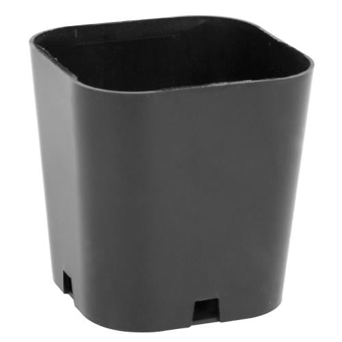 Super Sprouter Singled Out Pot