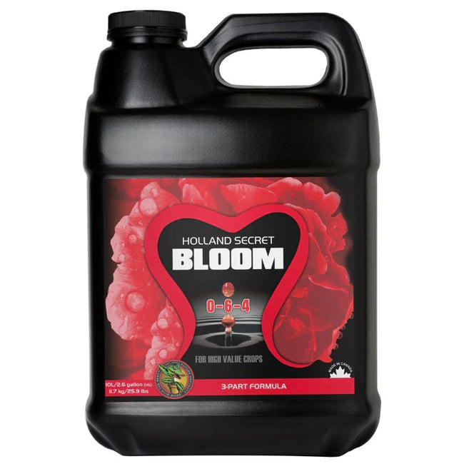 Holland Secret Bloom