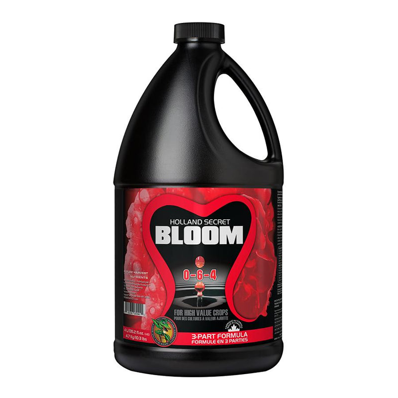 Holland Secret Bloom