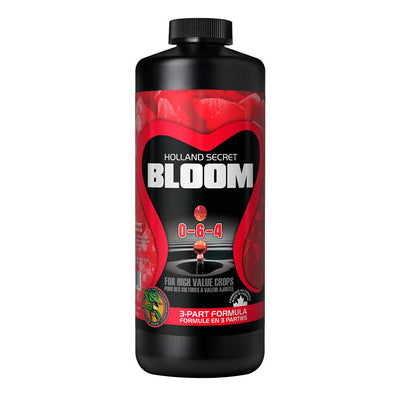 Holland Secret Bloom