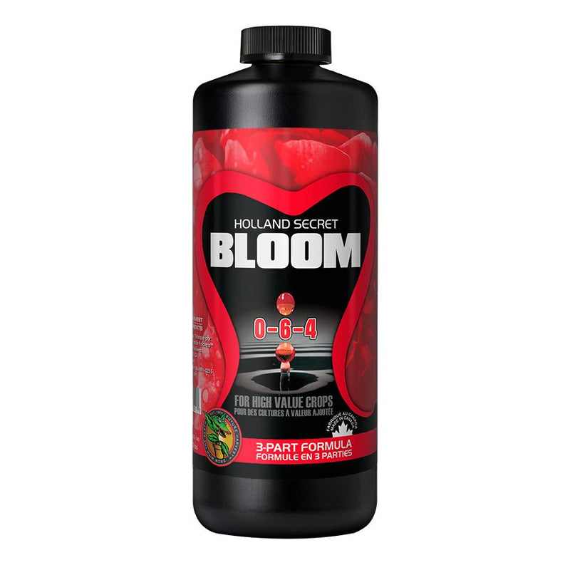 Holland Secret Bloom