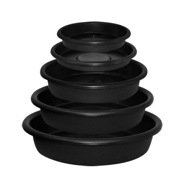 Mondi Saucer