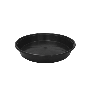Mondi Super Saucer