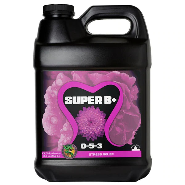 Holland Secret Super B+