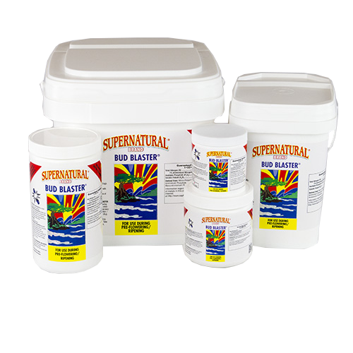 Supernatural Brand Bud Blaster 1-52-31