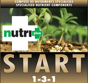 Nutri Plus Start