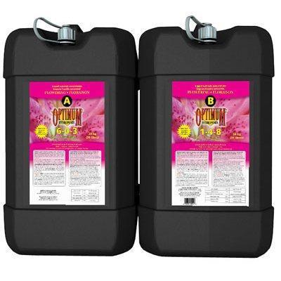 Optimum Bloom A&B